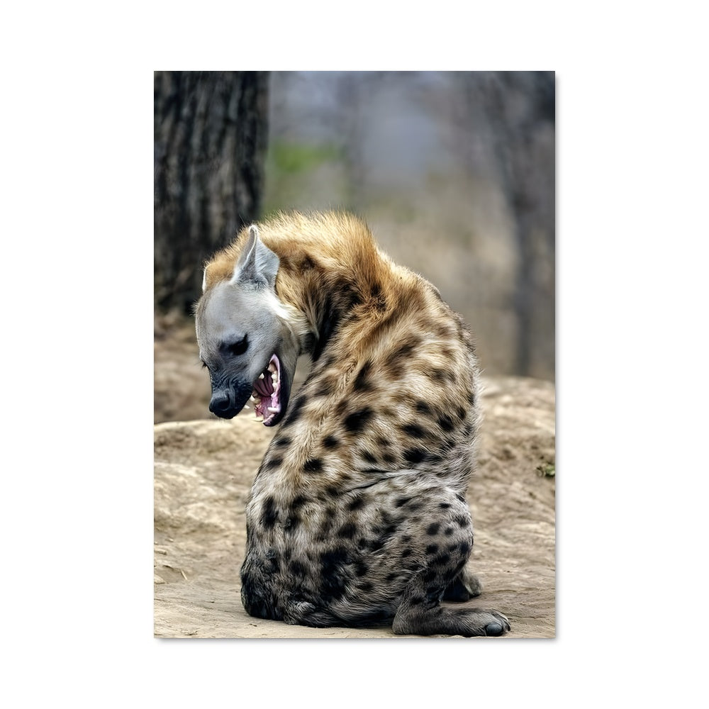Poster Hyena Hypnotique