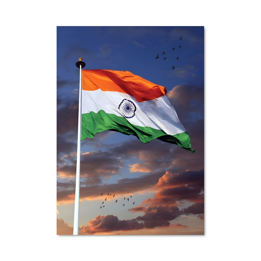 Poster Volez avec l'Inde
