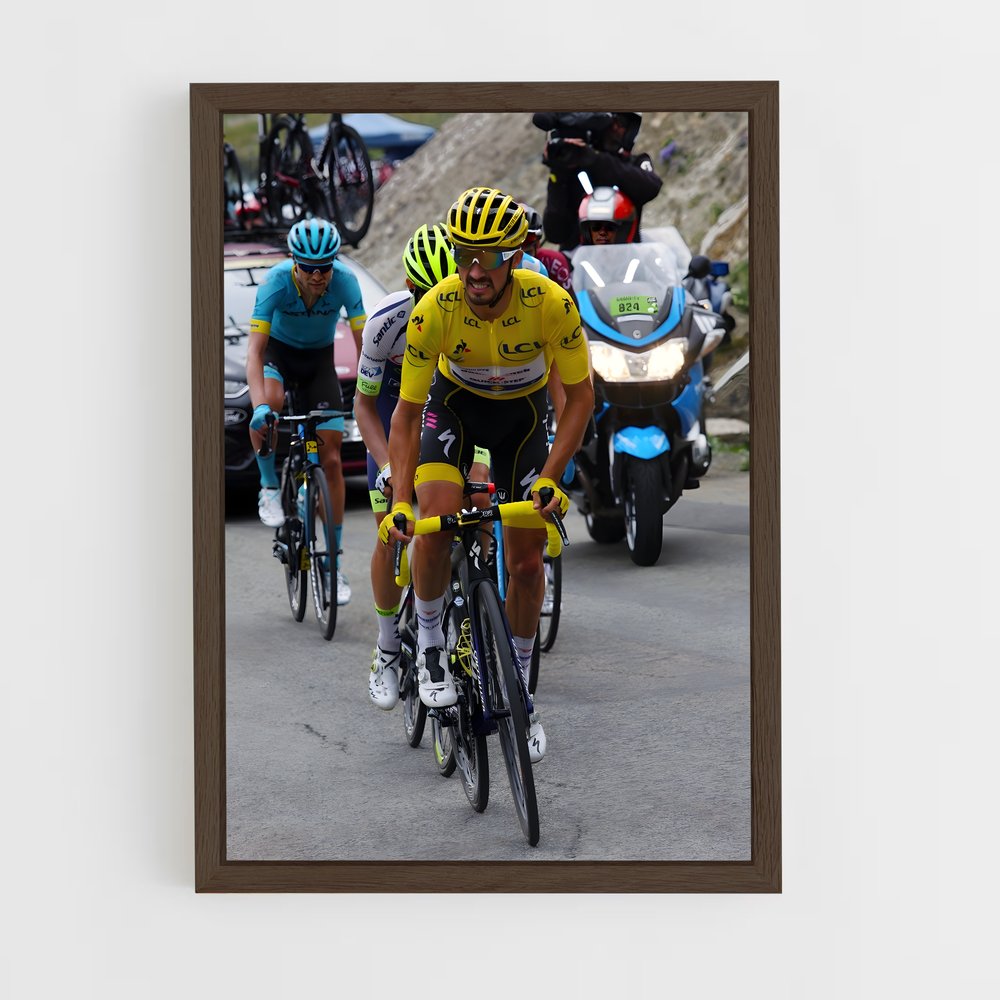 ap-julian alaphilippe-10 cadre Bois foncé