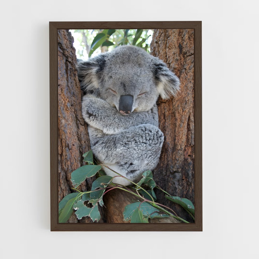 ap-koala-1 cadre Bois foncé