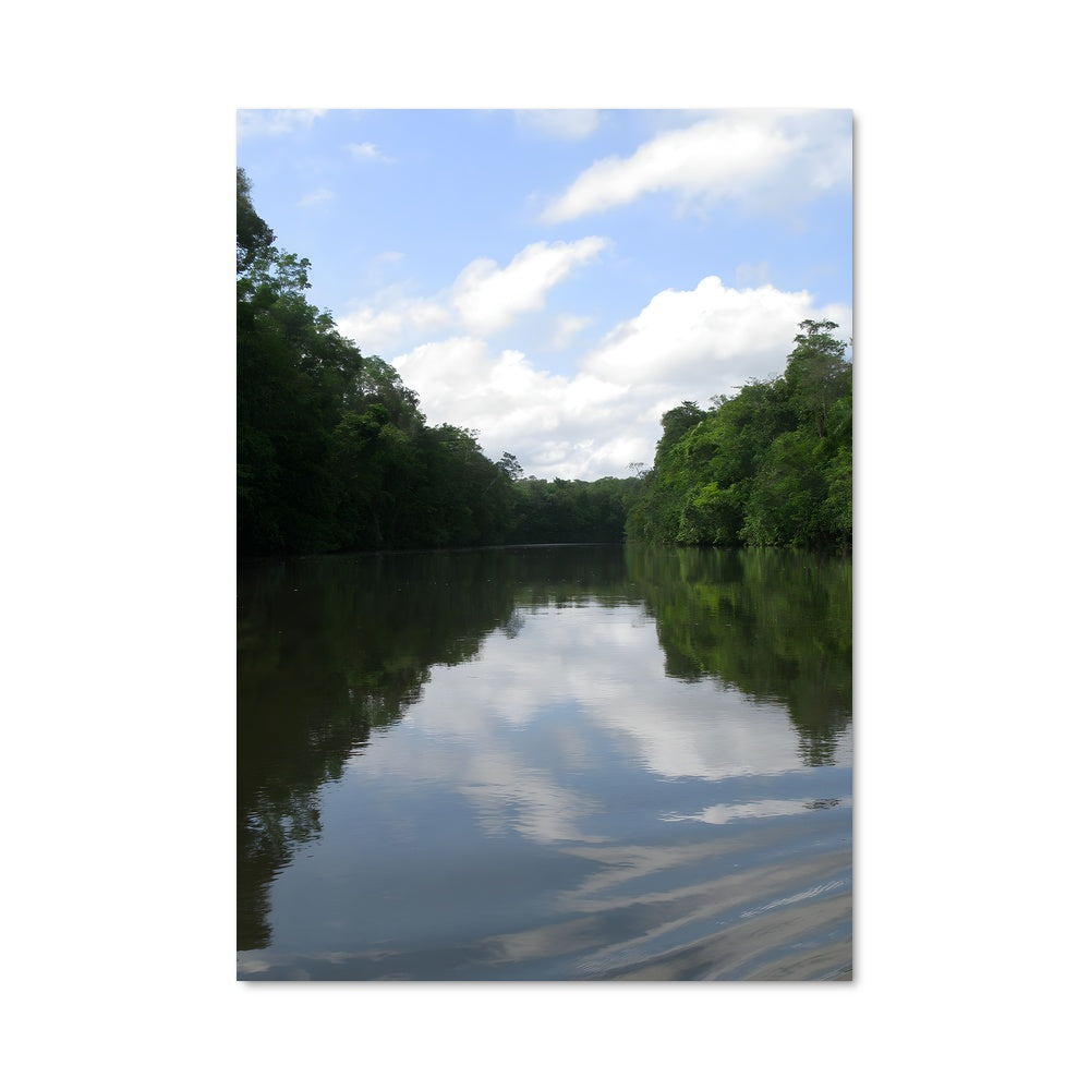 Poster Aventure Amazonienne