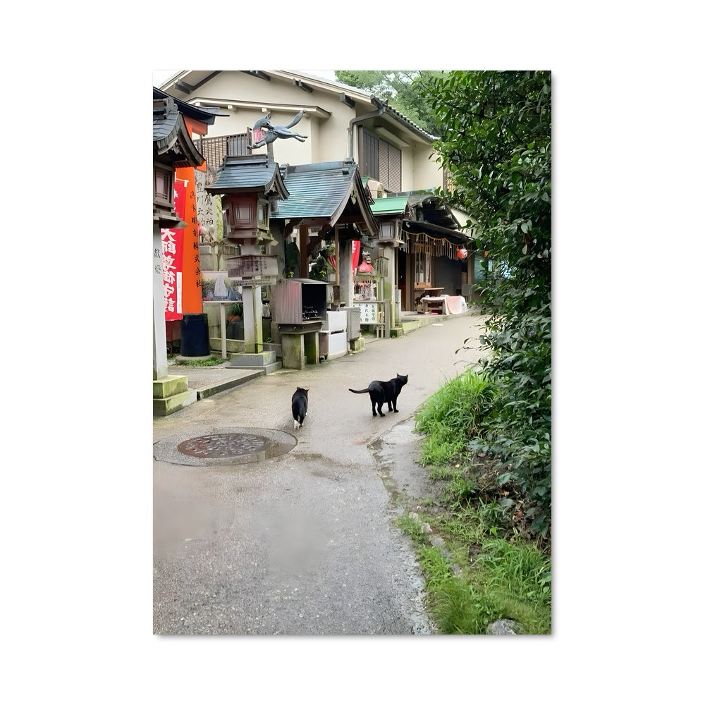 Poster Le Chat de Kyoto