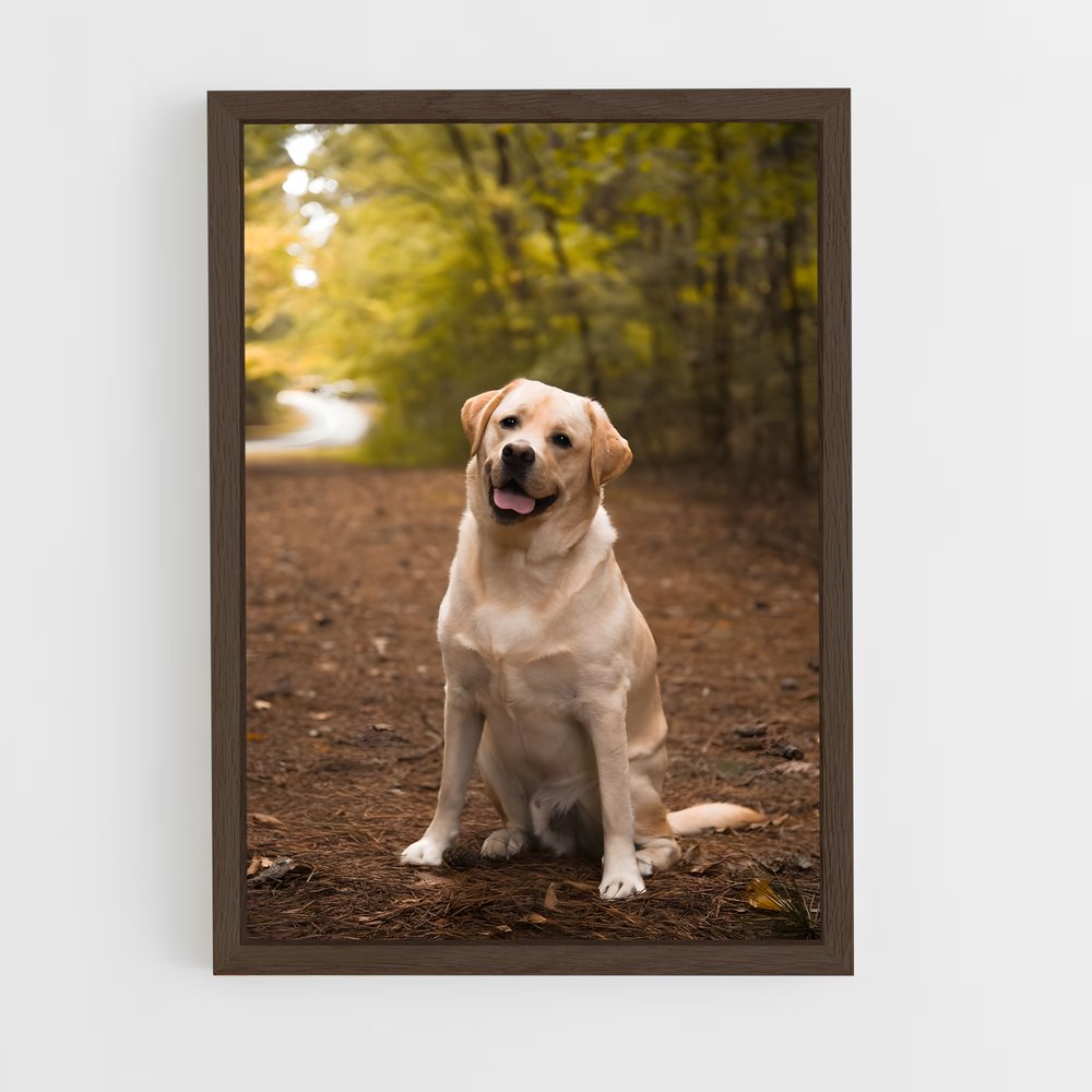 ap-labrador retriever-4 cadre Bois foncé