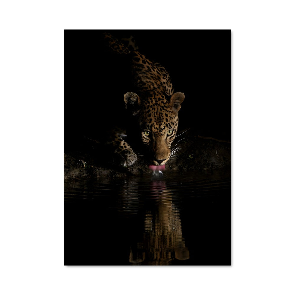 Poster Léopard du Marais