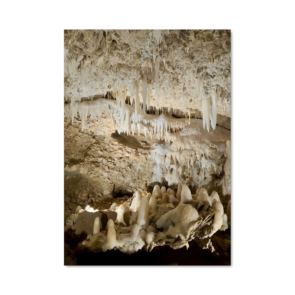 Poster Les Oiseaux de la Grotte