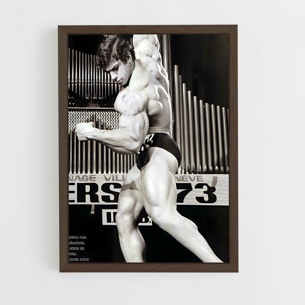 ap-lou ferrigno-1 cadre Bois foncé