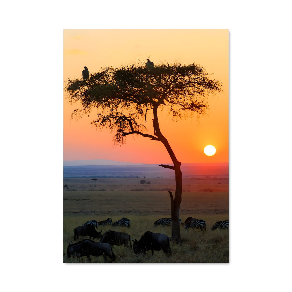 Poster L'Arbre des Mara