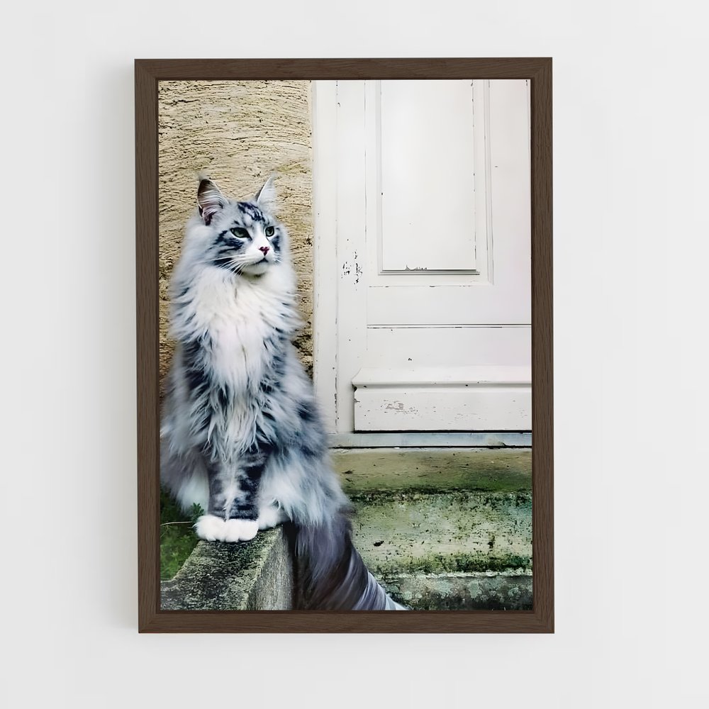 ap-maine coon-7 cadre Bois foncé