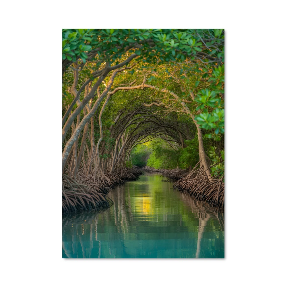 Poster Lever de Mangrove