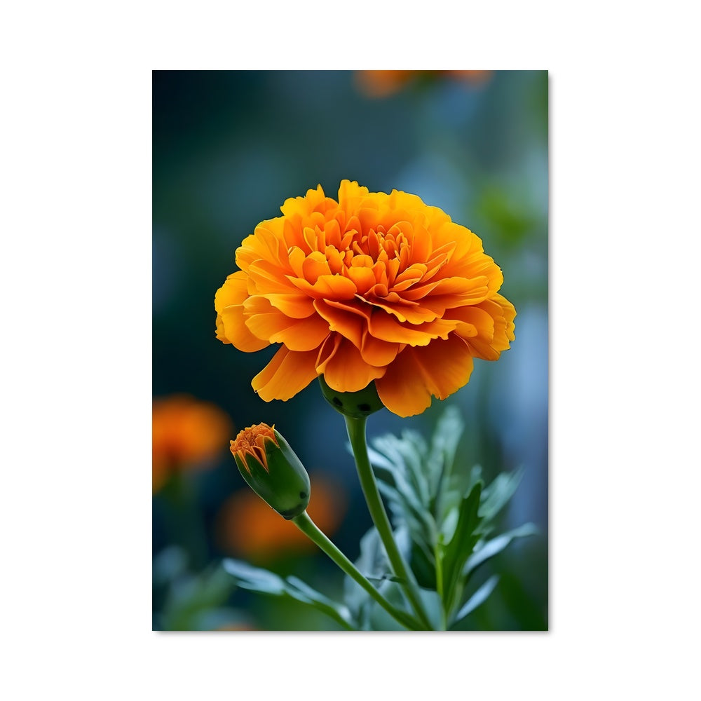 Poster Pétale Éternel