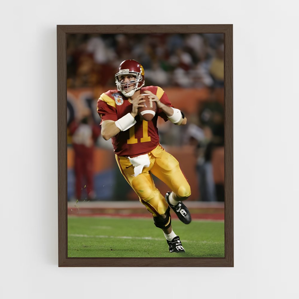 ap-matt leinart-2 cadre Bois foncé