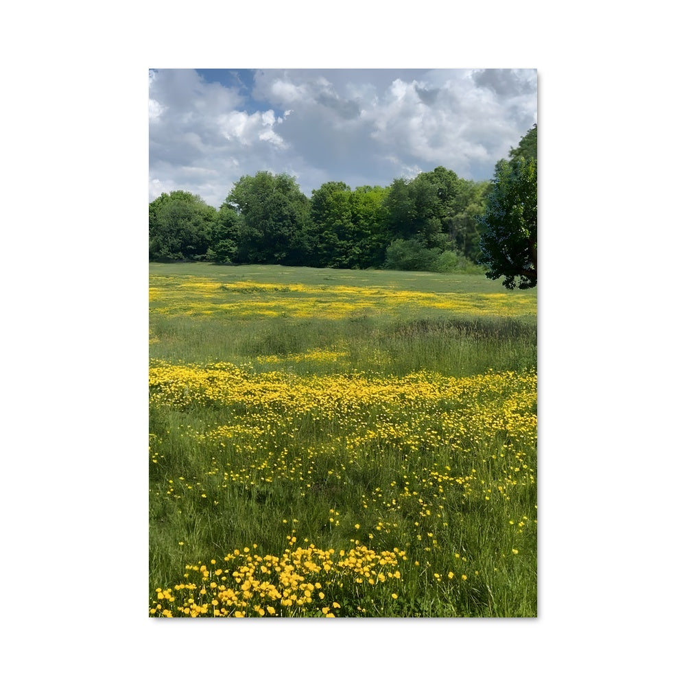 Poster Champ de Miel