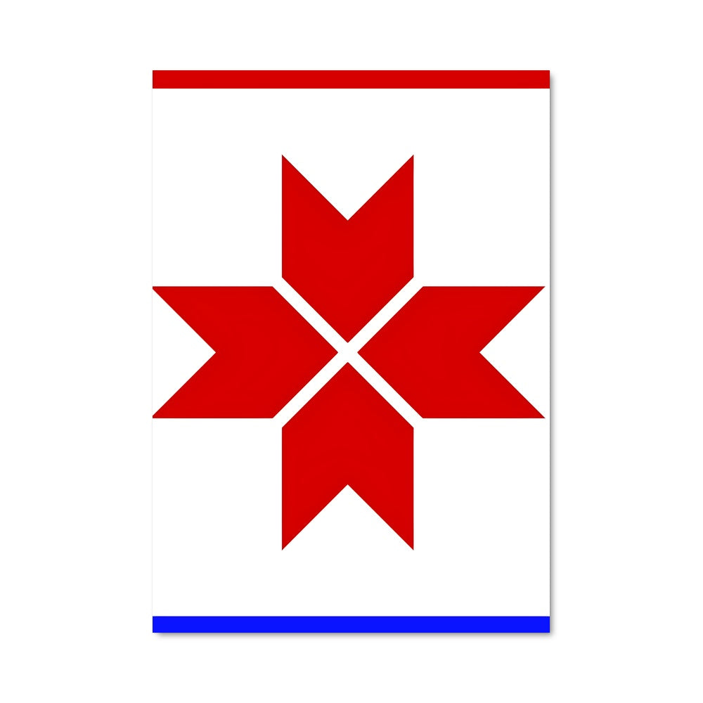 Poster Fierté Texane