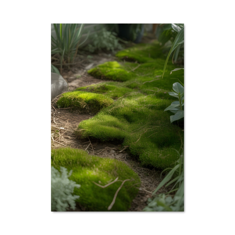 Poster Chat Enchanté