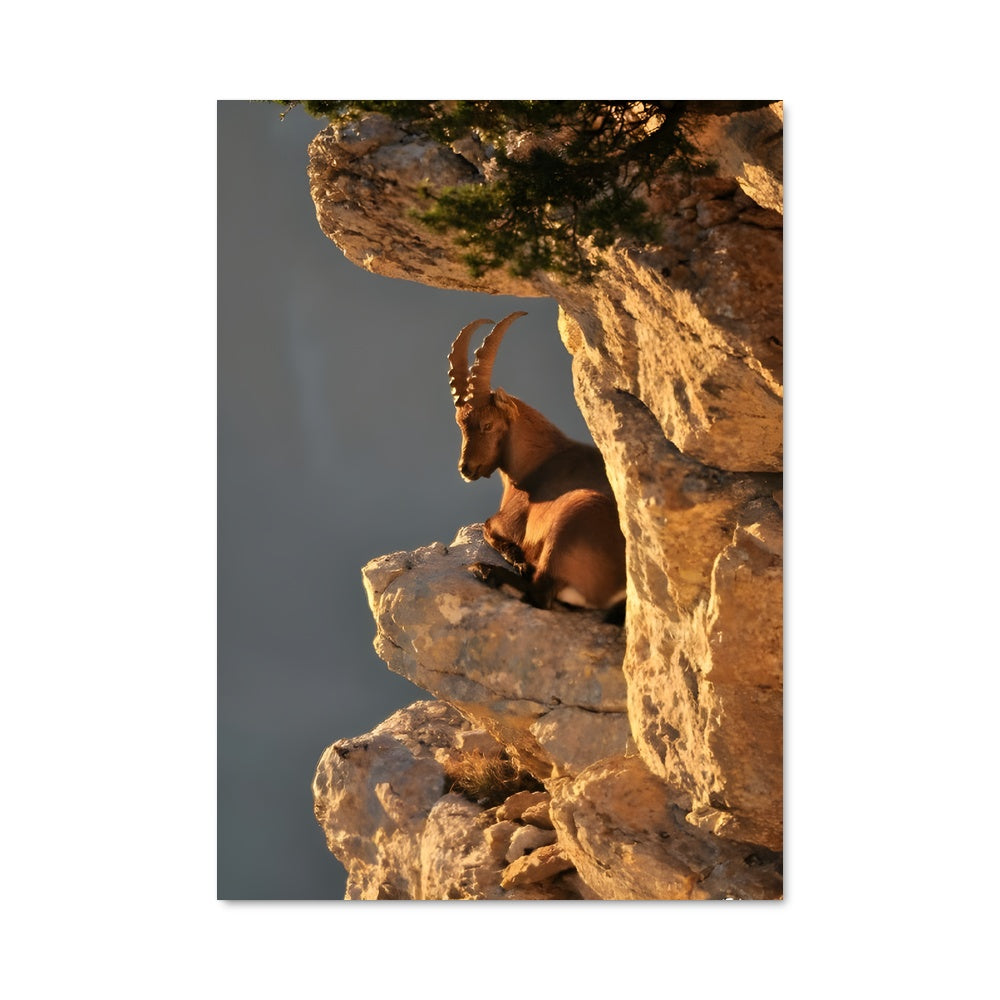 Poster La Chèvre des Sommets