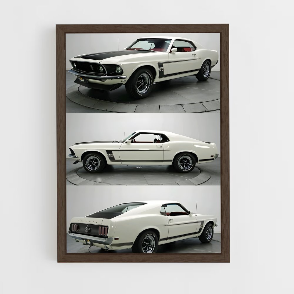 ap-mustang boss 302-1 cadre Bois foncé