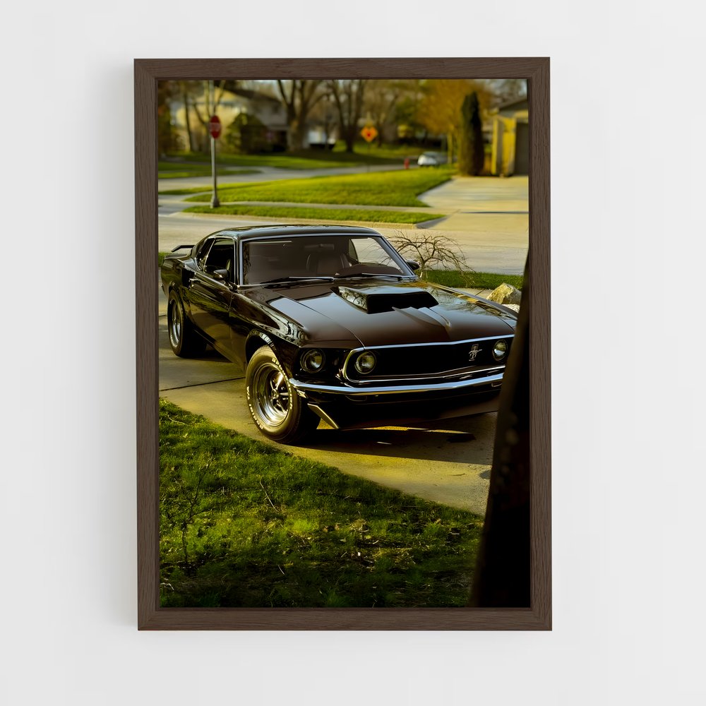 ap-mustang boss 429-2 cadre Bois foncé