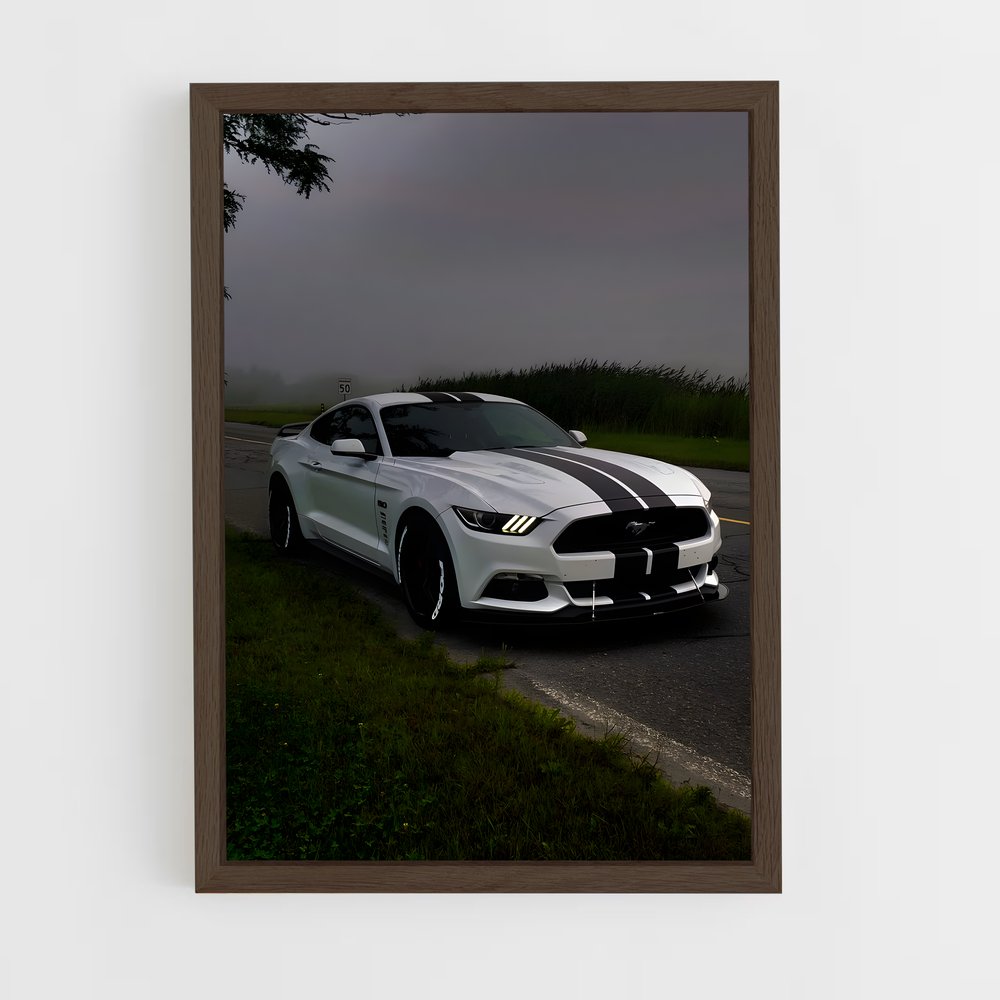 ap-mustang gt350r-2 cadre Bois foncé
