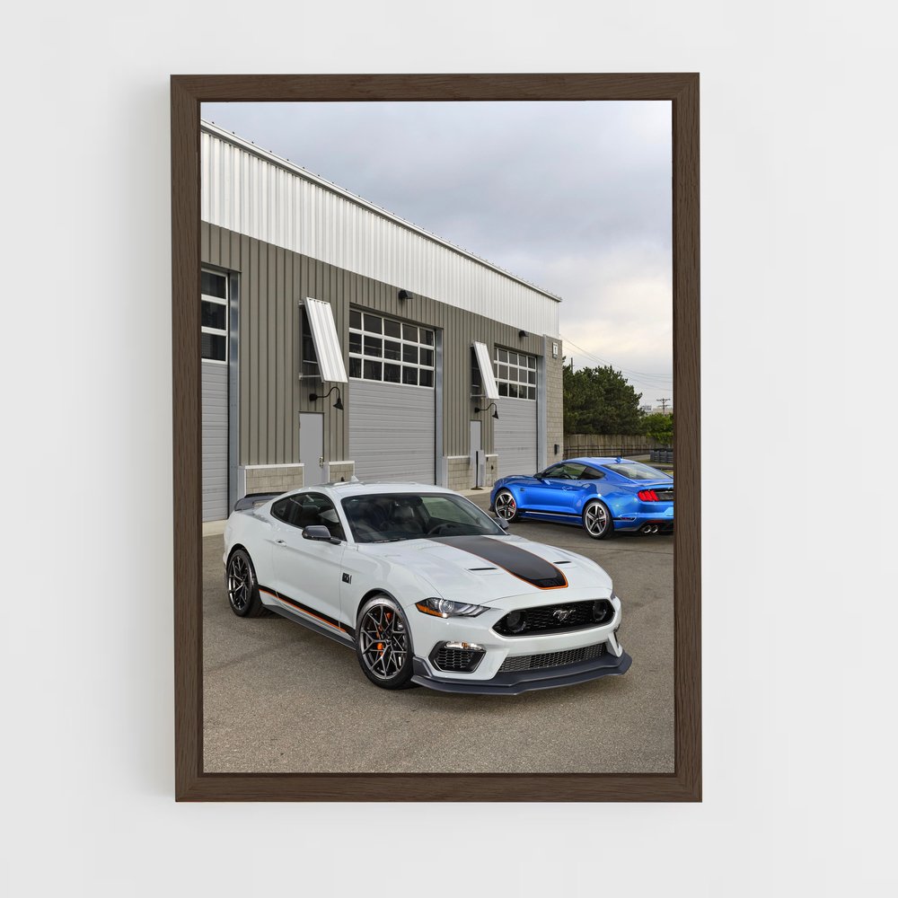 ap-mustang mach 1-1 cadre Bois foncé