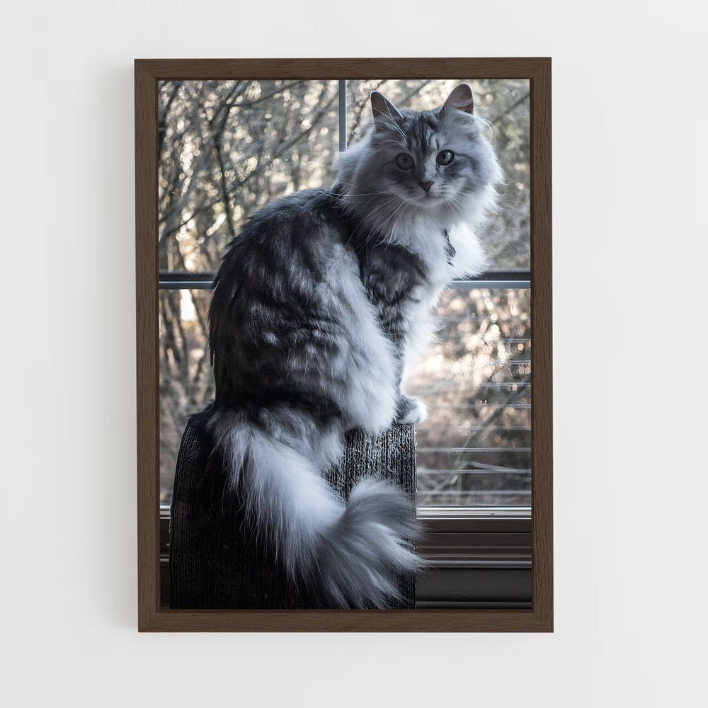ap-norwegian forest cat-9 cadre Bois foncé