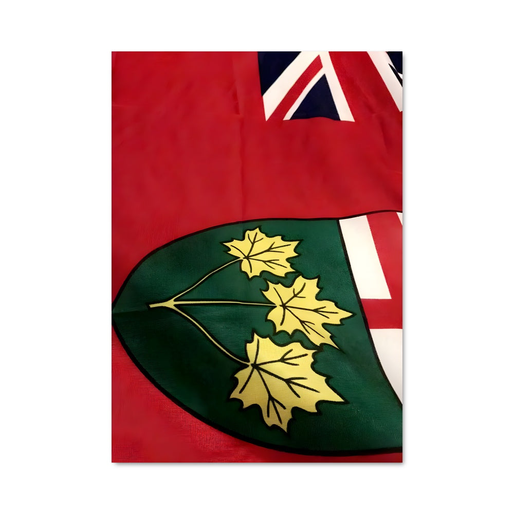 Poster Feuille d'Ontario