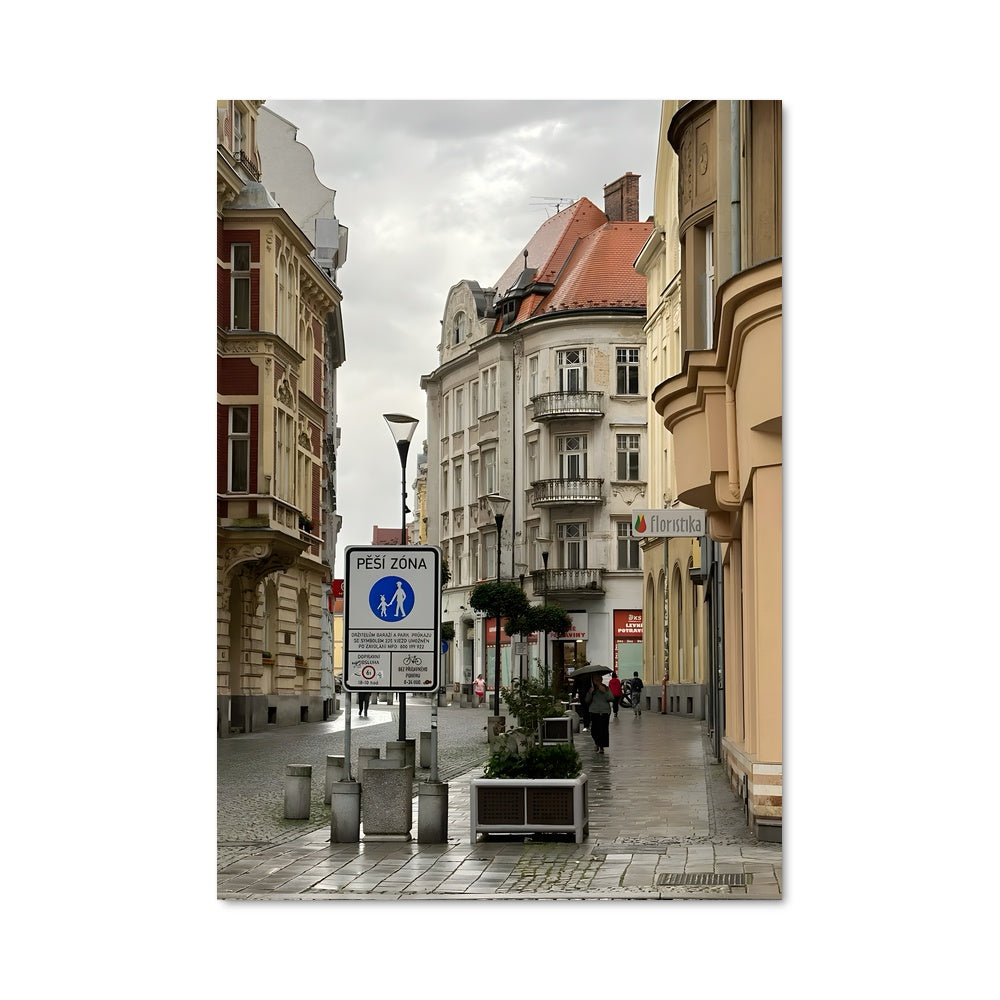 Poster La Rue Pavée