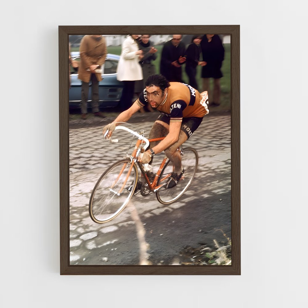 ap-paris-roubaix-2 cadre Bois foncé