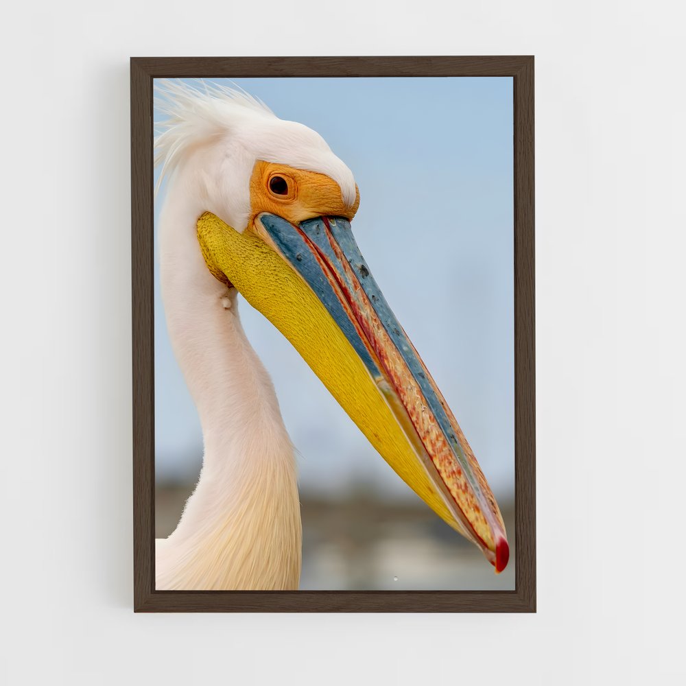 ap-pelican-5 cadre Bois foncé