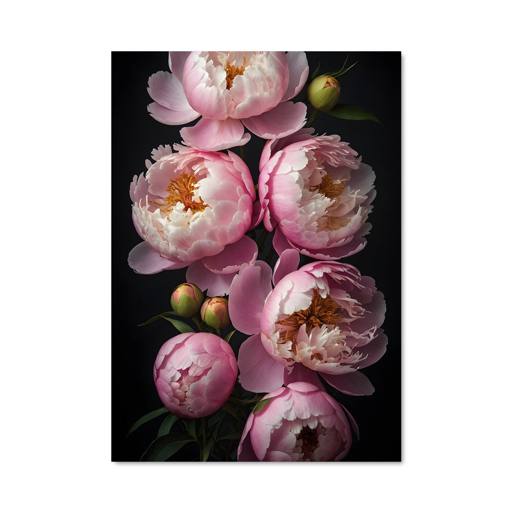 Poster Pétales de Rose