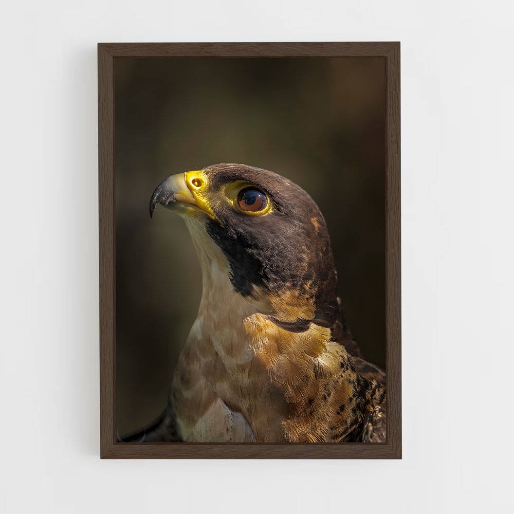 ap-peregrine falcon-1 cadre Bois foncé