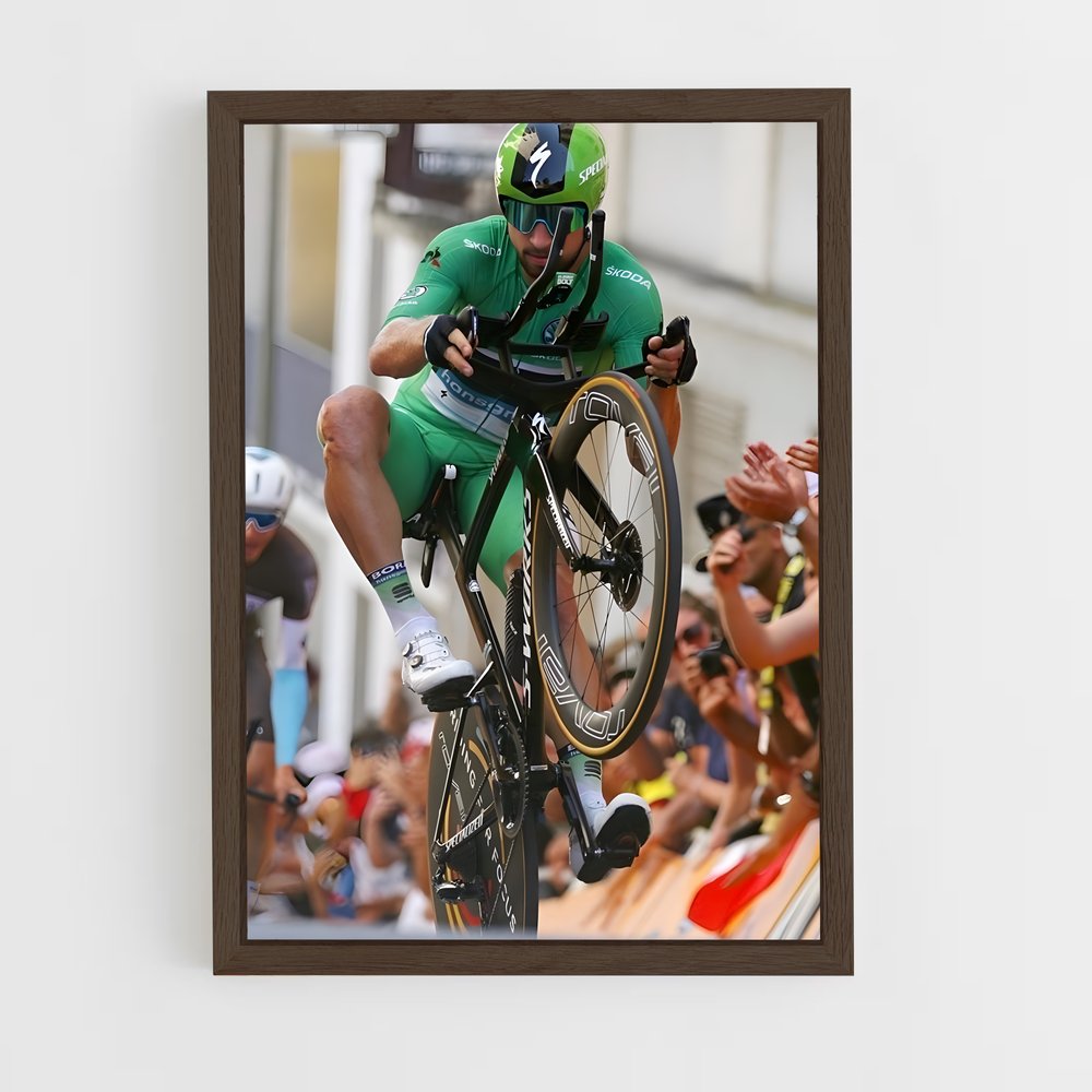 ap-peter sagan-2 cadre Bois foncé