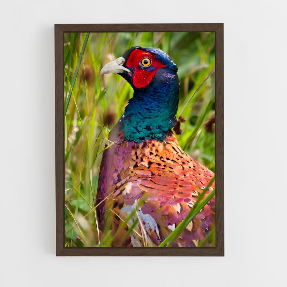 ap-pheasant-2 cadre Bois foncé