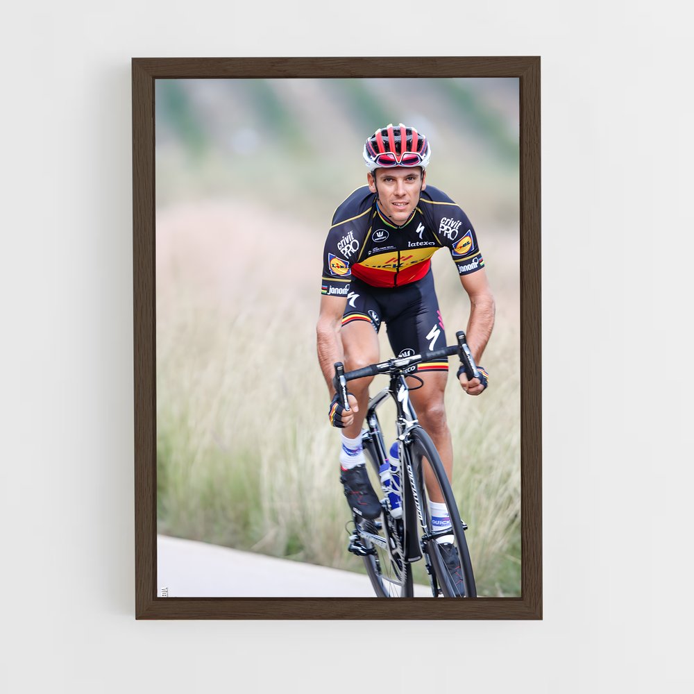 ap-philippe gilbert-4 cadre Bois foncé