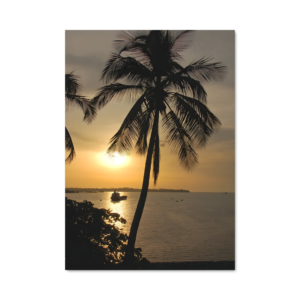 Poster Coucher de Palmiers