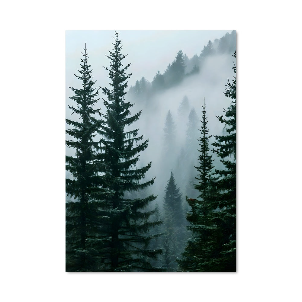 Poster Pine forest 94970