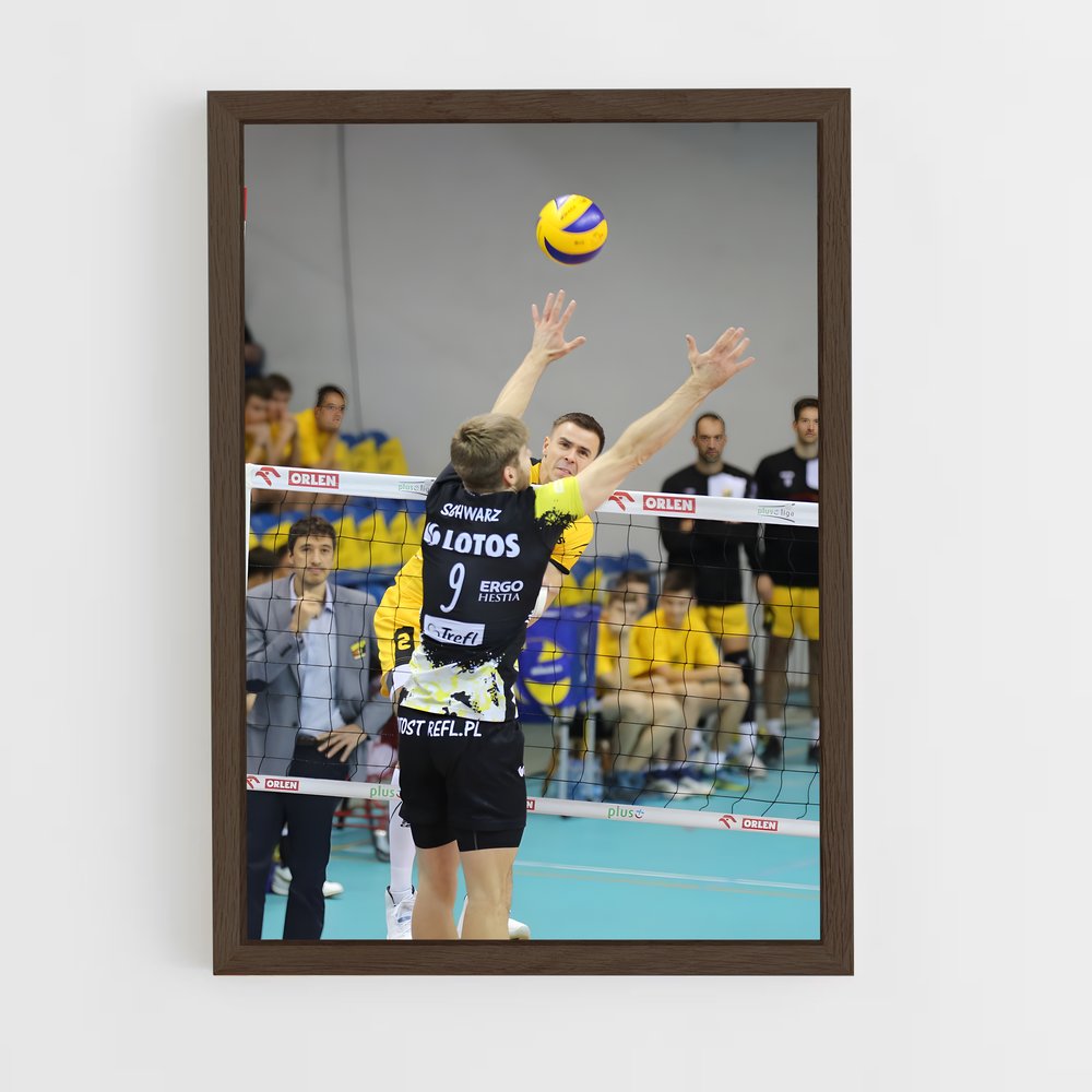 ap-plusliga poland-1 cadre Bois foncé