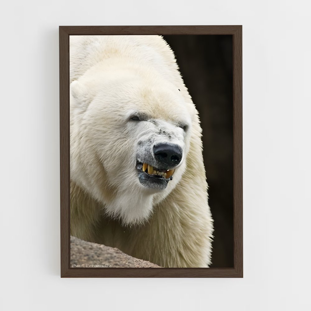 ap-polar bear-12 cadre Bois foncé
