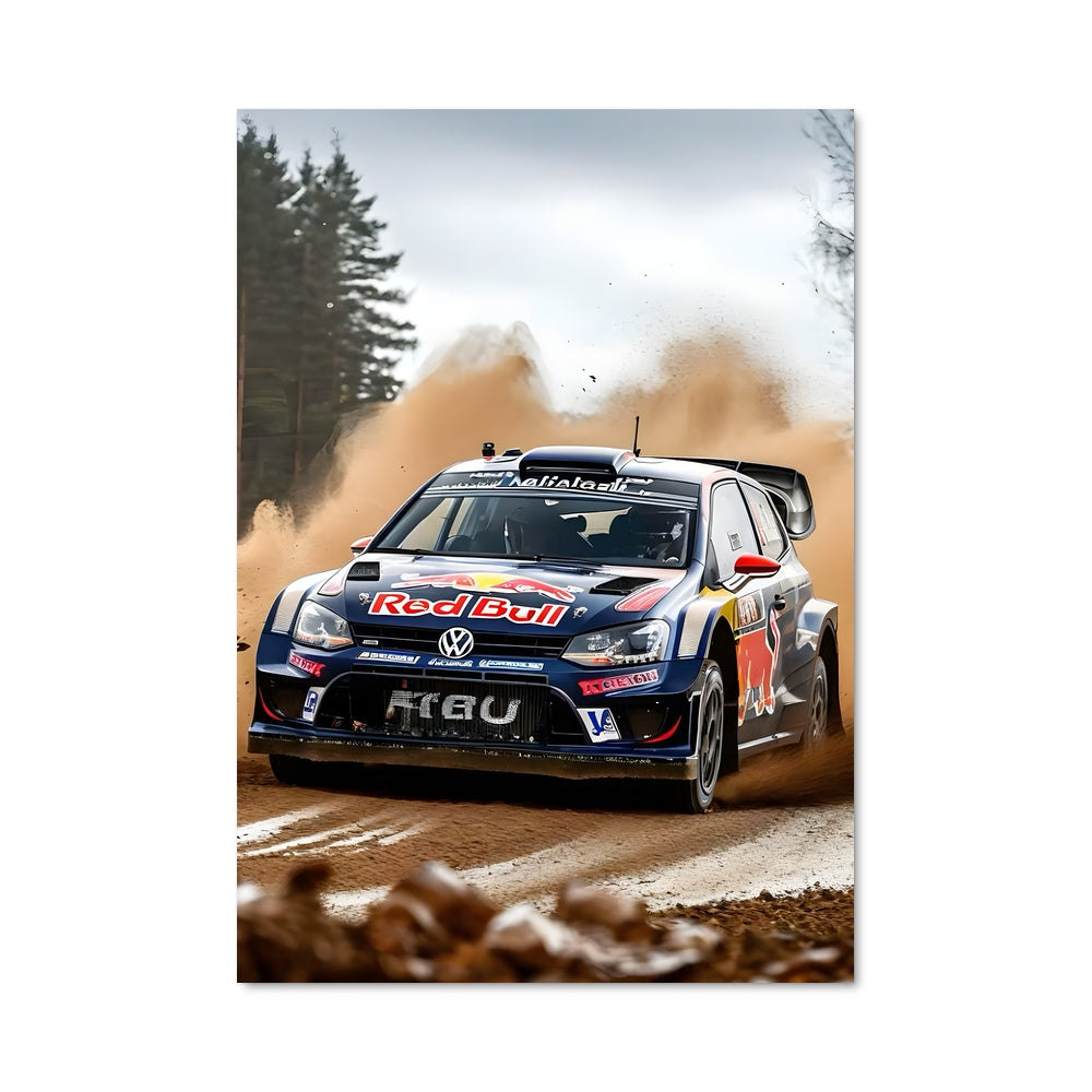 Poster Polo wrc 79882