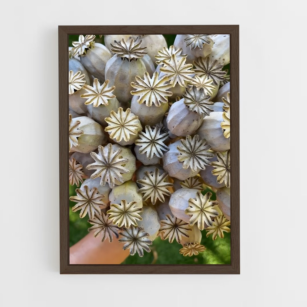 ap-poppy seeds-4 cadre Bois foncé