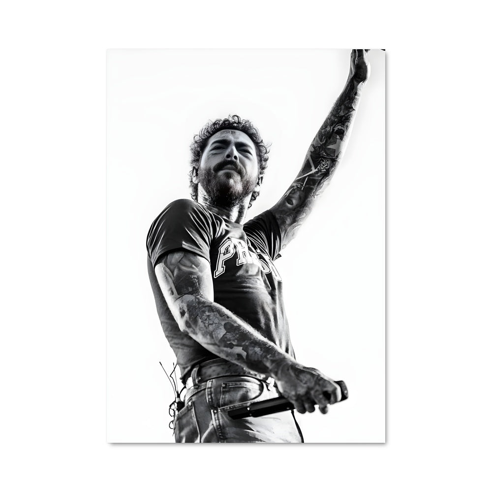 Poster Post malone 54345