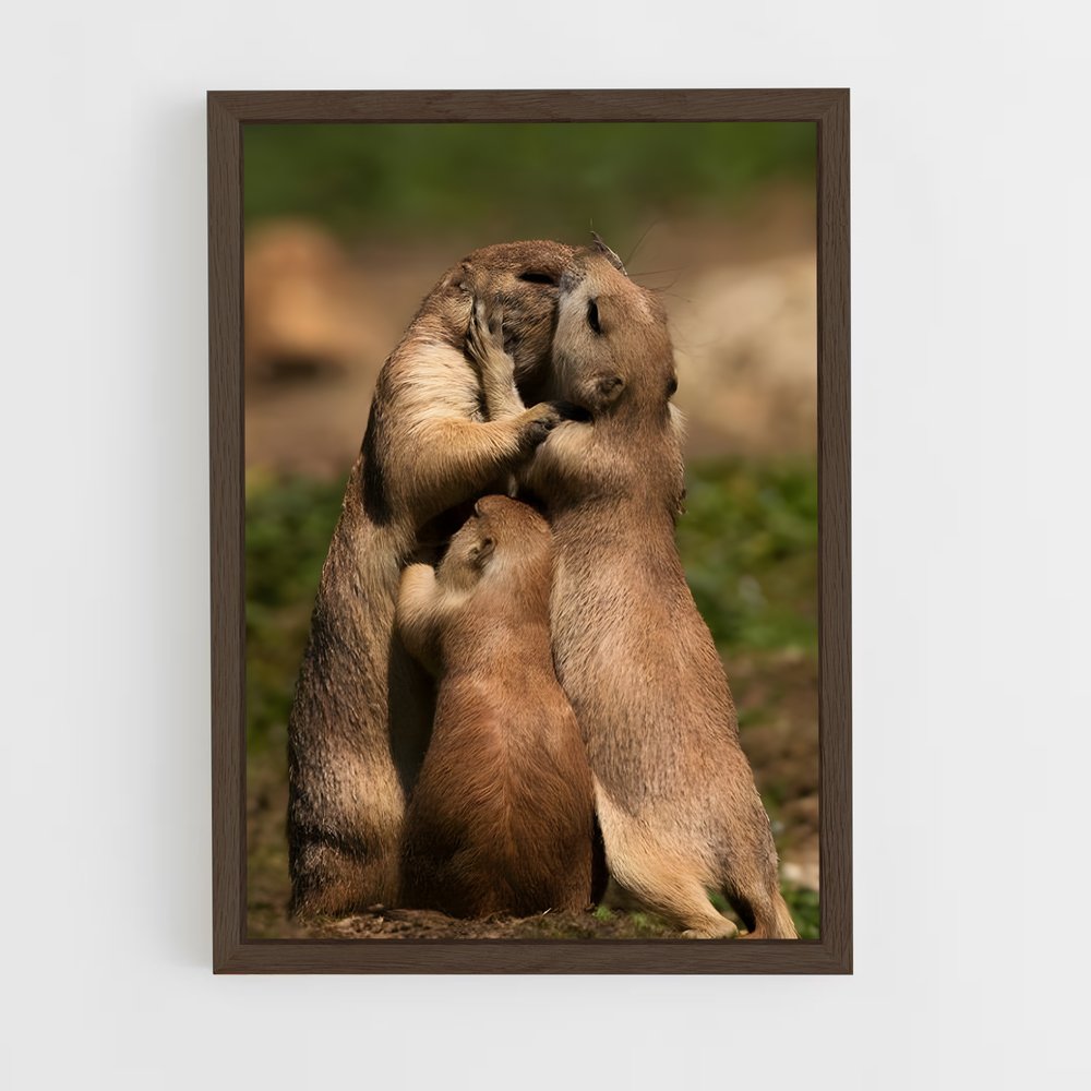 ap-prairie dog-5 cadre Bois foncé