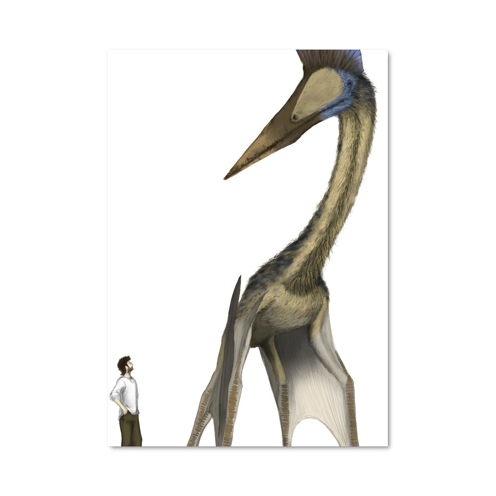 Poster L'Observateur du Ciel