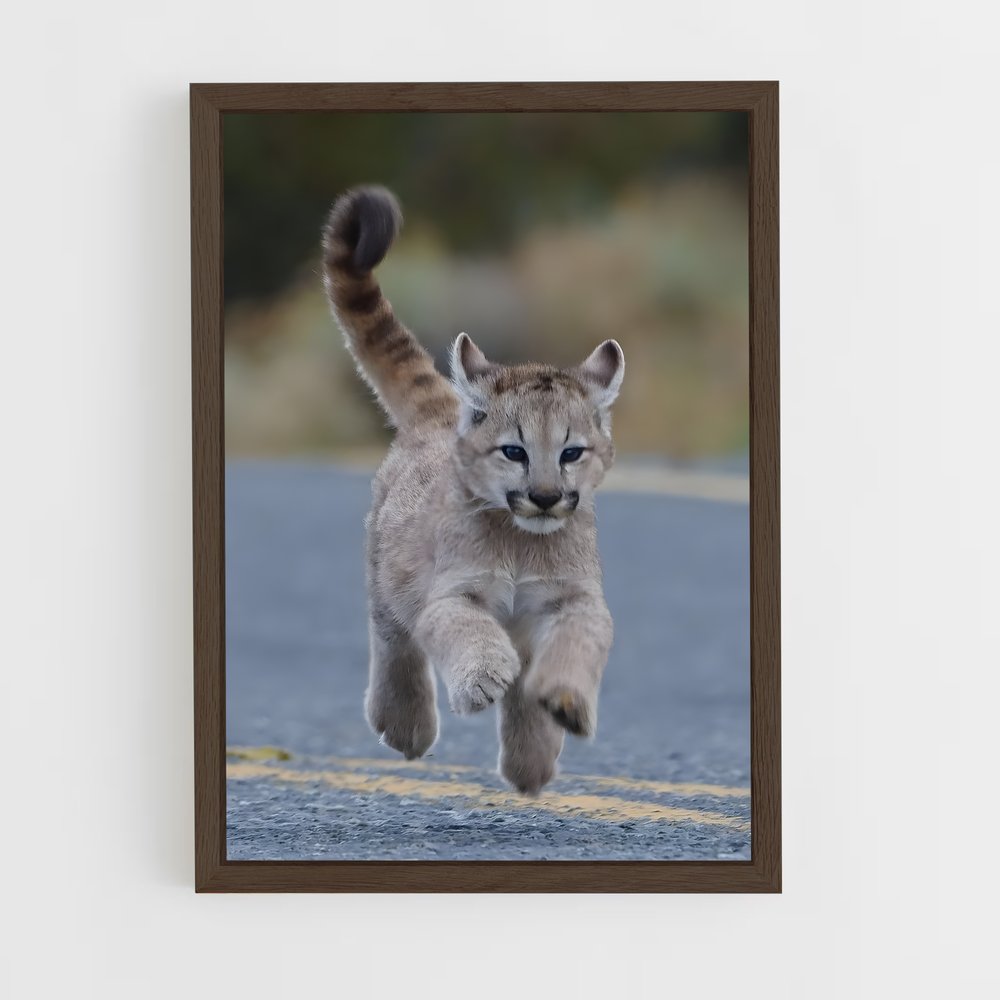 ap-puma-17 cadre Bois foncé