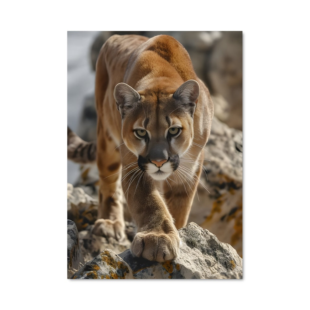 Poster L'Esprit du Puma