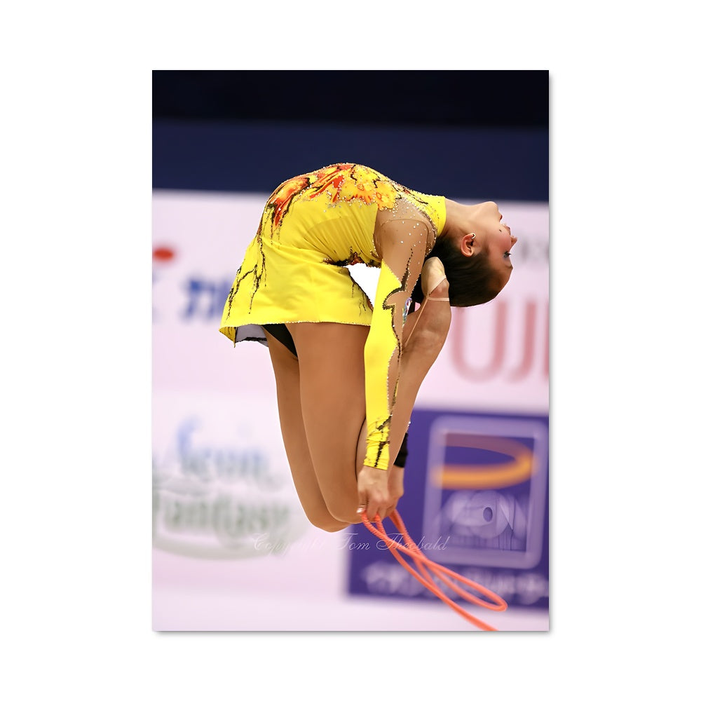 Poster Saut en Élan