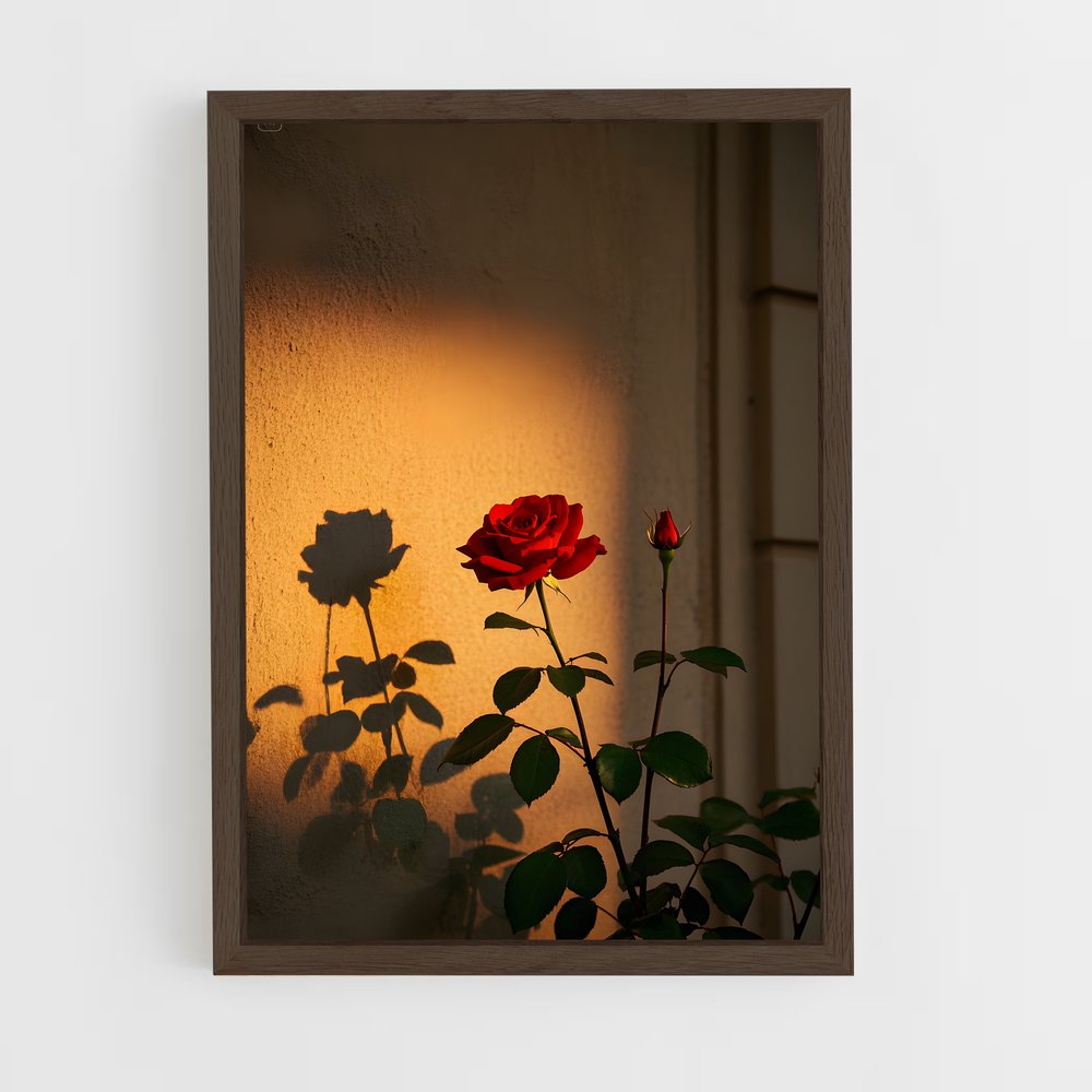 ap-rose-16 cadre Bois foncé