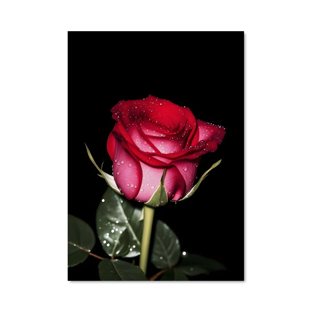 Poster Éclat de Rosée