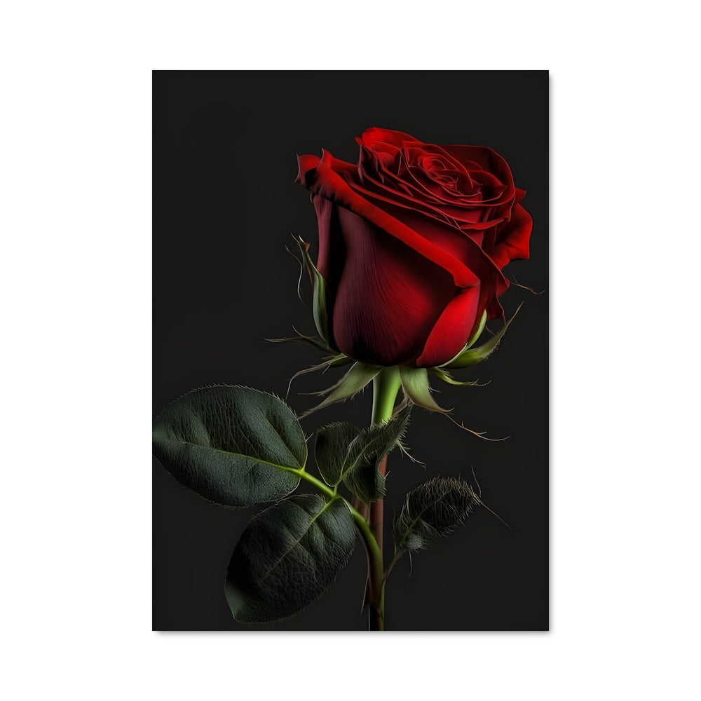 Poster Rose 96743