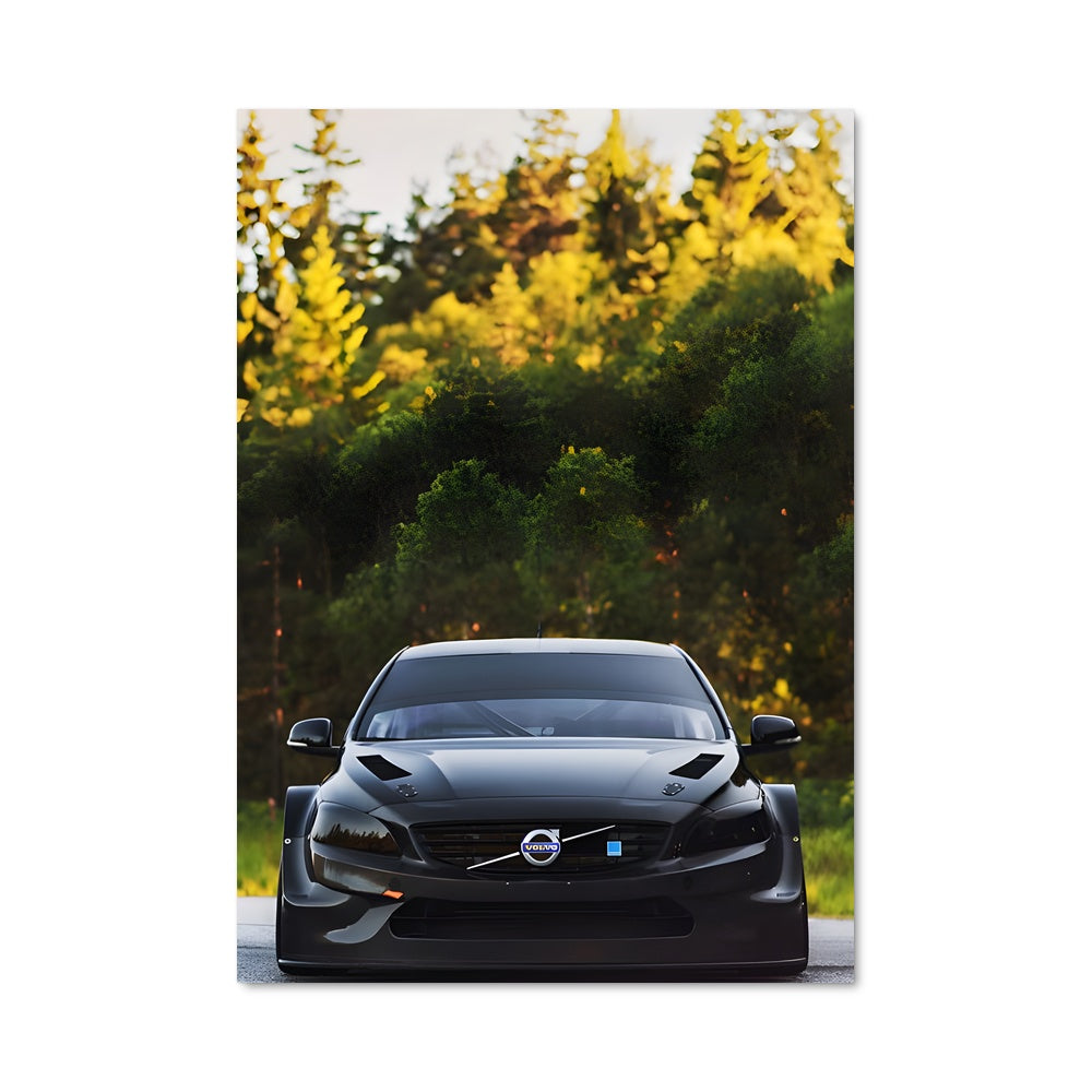 Poster S60 polestar 79892