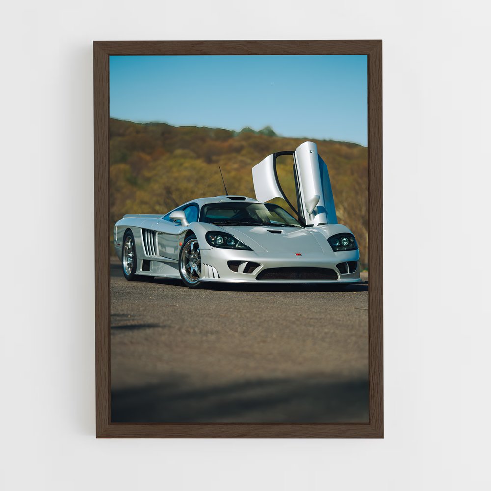 ap-saleen-1 cadre Bois foncé